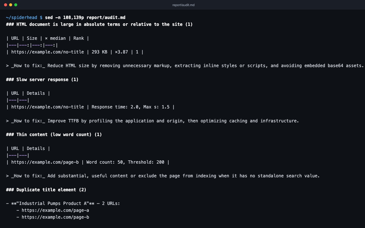 Audit report: thin content, duplicate titles and large HTML