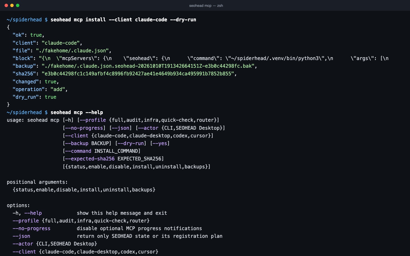 Terminal: a dry-run MCP registration for Claude Code